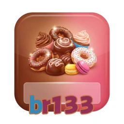 br133